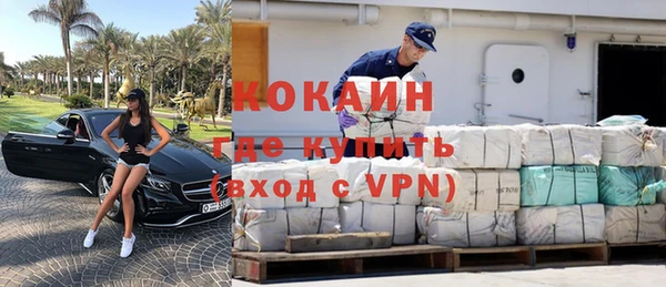индика Аркадак