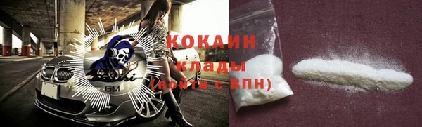 индика Аркадак